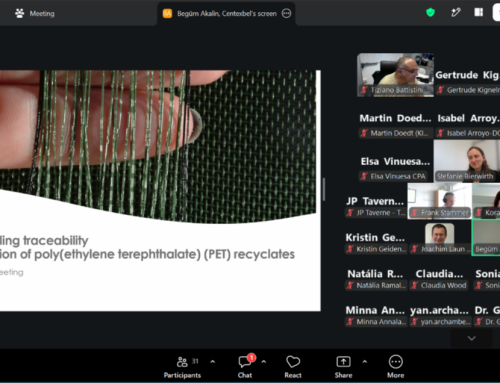 DigInTraCE at the CEN/TC 249/WG 11 Plastics Recycling meeting